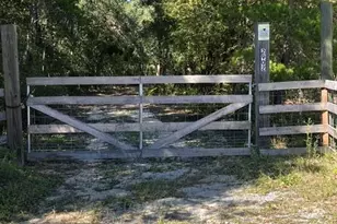 2902 River Lake Dr, Chipley, FL 32428 - Photo 32