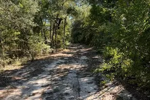 2902 River Lake Dr, Chipley, FL 32428 - Photo 34