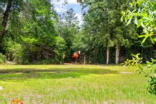 5164 Miles Rd, Youngstown, FL 32466 - Photo 14