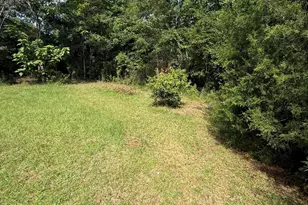2243 Syfrett Rd, Cottondale, FL 32431 - Photo 14