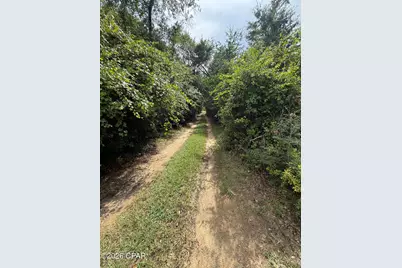 2243 Syfrett Road, Cottondale, FL 32431 - Photo 20