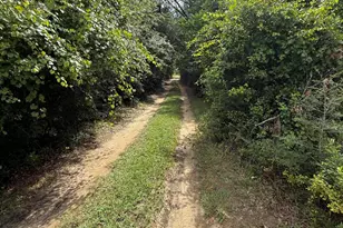 2243 Syfrett Rd, Cottondale, FL 32431 - Photo 20