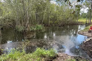 0 E Delta Ln, Marianna, FL 32448 - Photo 1