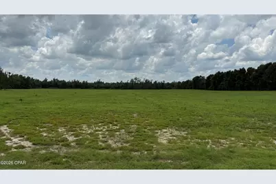 0 E Delta Lane, Marianna, FL 32448 - Photo 2