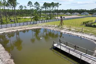 619 Jones Homestead Rd, Port Saint Joe, FL 32456 - Photo 70