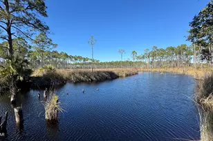 1693 St George's Ct, Eastpoint, FL 32328 - Photo 36