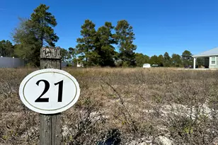 1693 St George's Ct, Eastpoint, FL 32328 - Photo 24