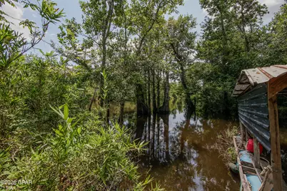 12730 SW County Road 275, Blountstown, FL 32424 - Photo 64
