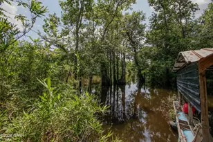 12730 SW County Road 275, Blountstown, FL 32424 - Photo 64
