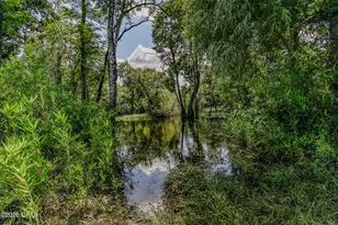 12730 SW County Road 275, Blountstown, FL 32424 - Photo 68