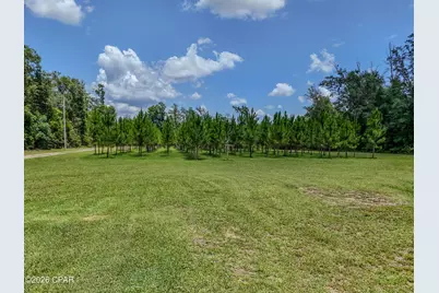 12730 SW County Road 275, Blountstown, FL 32424 - Photo 6