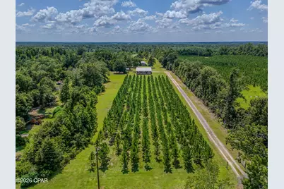 12730 SW County Road 275, Blountstown, FL 32424 - Photo 4