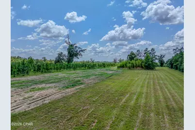 12730 SW County Road 275, Blountstown, FL 32424 - Photo 42