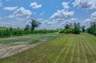 12730 SW County Road 275, Blountstown, FL 32424 - Photo 42