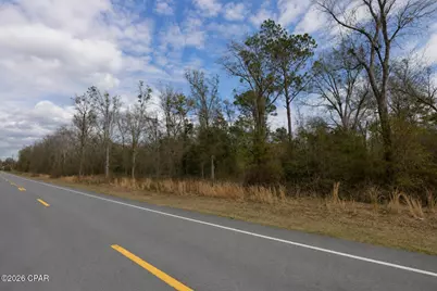 0 S Hwy 71, Wewahitchka, FL 32465 - Photo 1