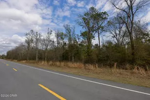 0 S Hwy 71, Wewahitchka, FL 32465 - Photo 1