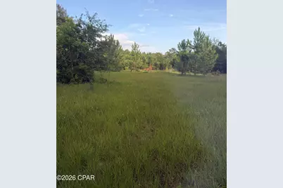 00 S Chance Road, Bonifay, FL 32425 - Photo 4