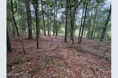 Lot 5 Malone Place, Chipley, FL 32428 - Photo 12