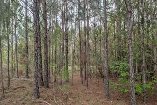 Tbd Marian Dr, Bonifay, FL 32425 - Photo 1
