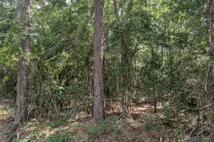 Tbd Marian Dr, Bonifay, FL 32425 - Photo 1