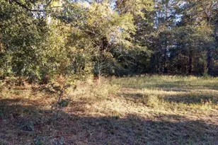 0 Marian Dr, Bonifay, FL 32425 - Photo 1