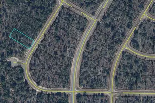 Lot 45 Blk 0743 Bluestone Dr, Chipley, FL 32428 - Photo 1