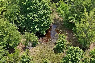 6160 Cedric Cir, Marianna, FL 32448 - Photo 16