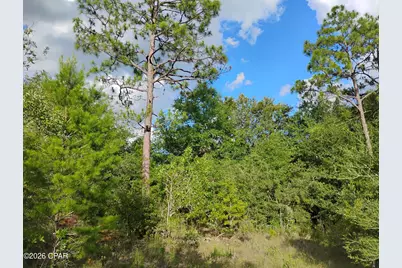 Lot 19 Country Club Boulevard, Chipley, FL 32428 - Photo 4