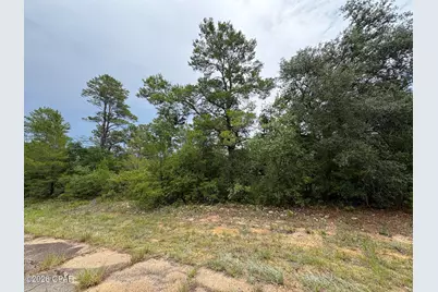 Lot 29 Colmart Drive, Chipley, FL 32428 - Photo 2