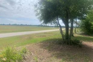 8390 Aci Dr, Sneads, FL 32460 - Photo 6