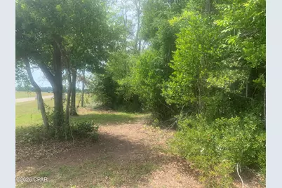 8390 Aci Drive, Sneads, FL 32460 - Photo 6