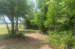 8390 Aci Dr, Sneads, FL 32460 - Photo 6