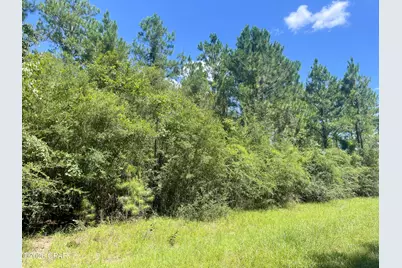 0013 Hawthorne Trl Canopy Oaks Trail, Bonifay, FL 32425 - Photo 10