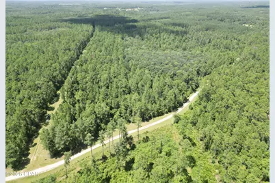 0013 Hawthorne Trl Canopy Oaks Trail, Bonifay, FL 32425 - Photo 1