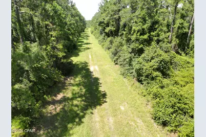 0013 Hawthorne Trl Canopy Oaks Trail, Bonifay, FL 32425 - Photo 6