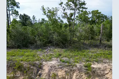 Xxxx Hero Road, Chipley, FL 32428 - Photo 1