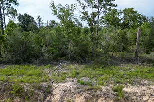 Xxxx Hero Rd, Chipley, FL 32428 - Photo 1