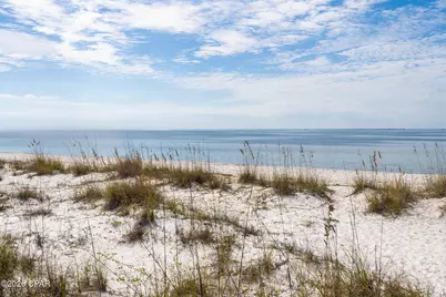 736 Backwater Road, Port Saint Joe, FL 32456 - Photo 64