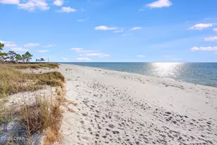 736 Backwater Rd, Port Saint Joe, FL 32456 - Photo 90