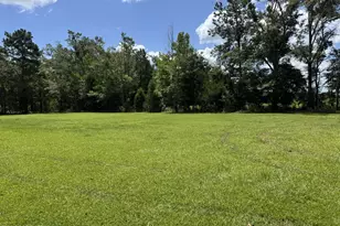 1929 N Holmes Creek Rd, Graceville, FL 32440 - Photo 46