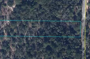 Lot 7 Pine Log Rd, Chipley, FL 32428 - Photo 1