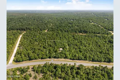 0 Southern Boulevard, Alford, FL 32420 - Photo 8