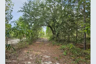 4390 Leisure Lakes Drive, Chipley, FL 32428 - Photo 28