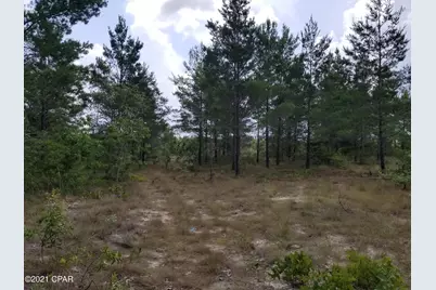 4390 Leisure Lakes Drive, Chipley, FL 32428 - Photo 8