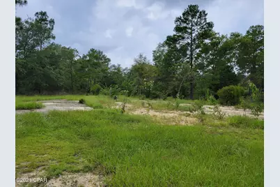 4390 Leisure Lakes Drive, Chipley, FL 32428 - Photo 10