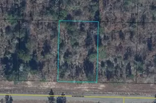 00 E Glenridge Circle, Chipley, FL 32428 - Photo 1