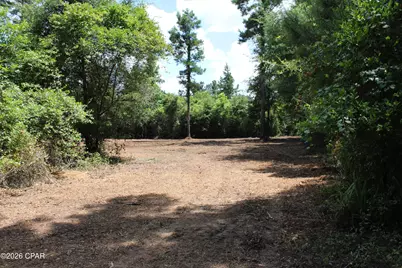 0 Reserve Drive, Marianna, FL 32446 - Photo 8