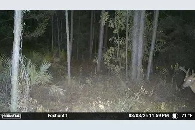 0 Foxhunt Road, Fountain, FL 32438 - Photo 16