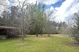 3395 Ontario Rd, Marianna, FL 32448 - Photo 64
