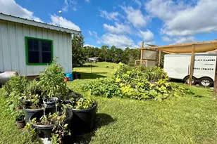 1036 Broom Rd, Bonifay, FL 32425 - Photo 8